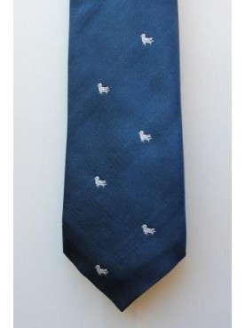 Hazelwick 6th Form Tie