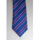 Hazelwick Tie Purple