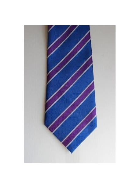 Hazelwick Tie Purple