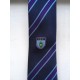  Burgess Hill Academy Tie Purple