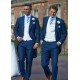 Royal Blue Mohair Tail Suit