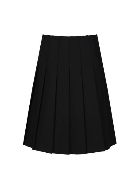 Weald Pleated Skirt