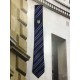  Burgess Hill Academy Tie Purple