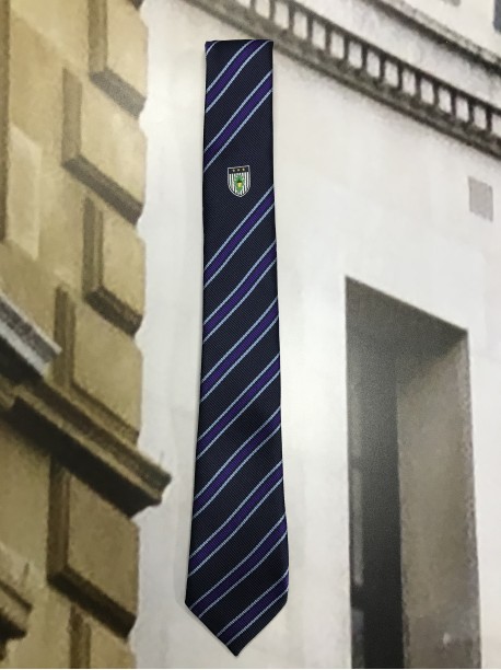  Burgess Hill Academy Tie Purple