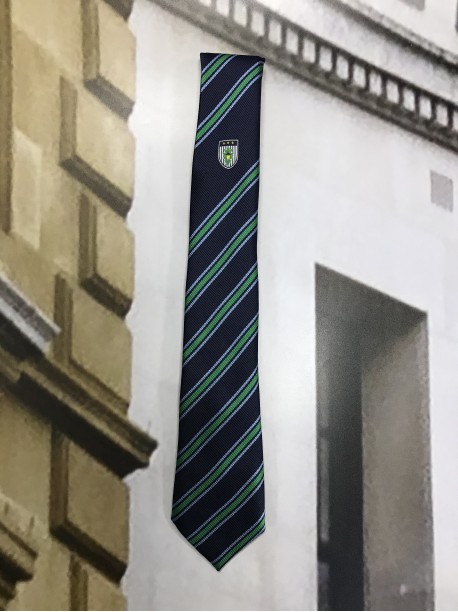  Burgess Hill Academy Tie Green