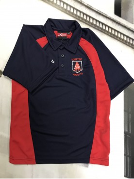 Sompting Abbotts Polo