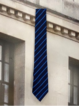 Warden Park Primary Tie