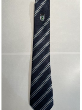 Burgess Hill Academy Tie Sliver