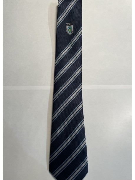 Burgess Hill Academy Tie Sliver