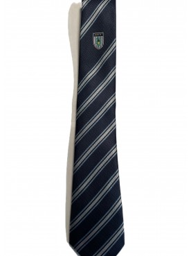 Burgess Hill Academy Tie Sliver