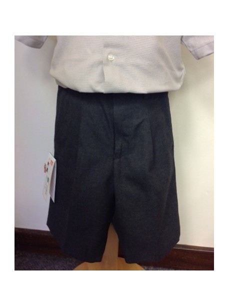 Bermuda Pleated Shorts 